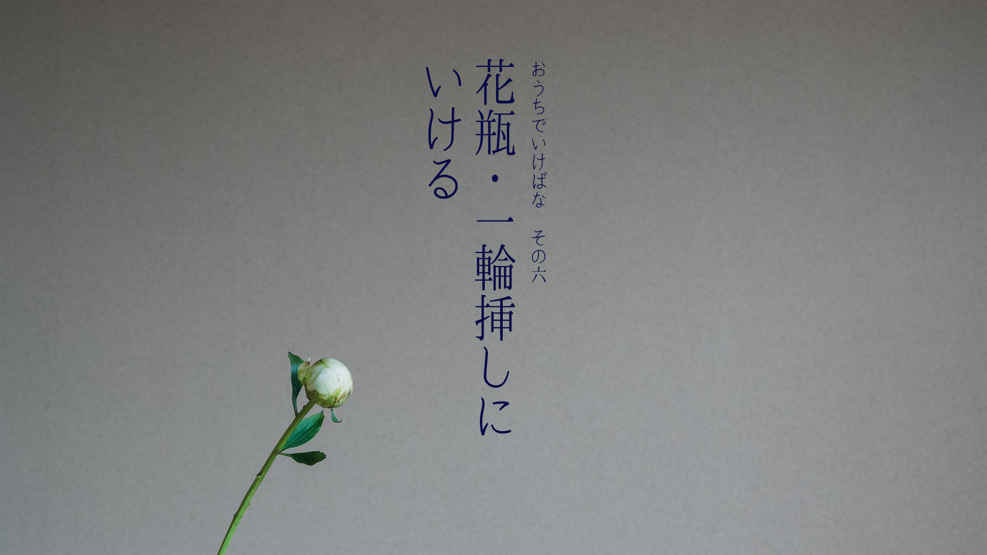 YouTube動画公開「花瓶・一輪挿しにいける」