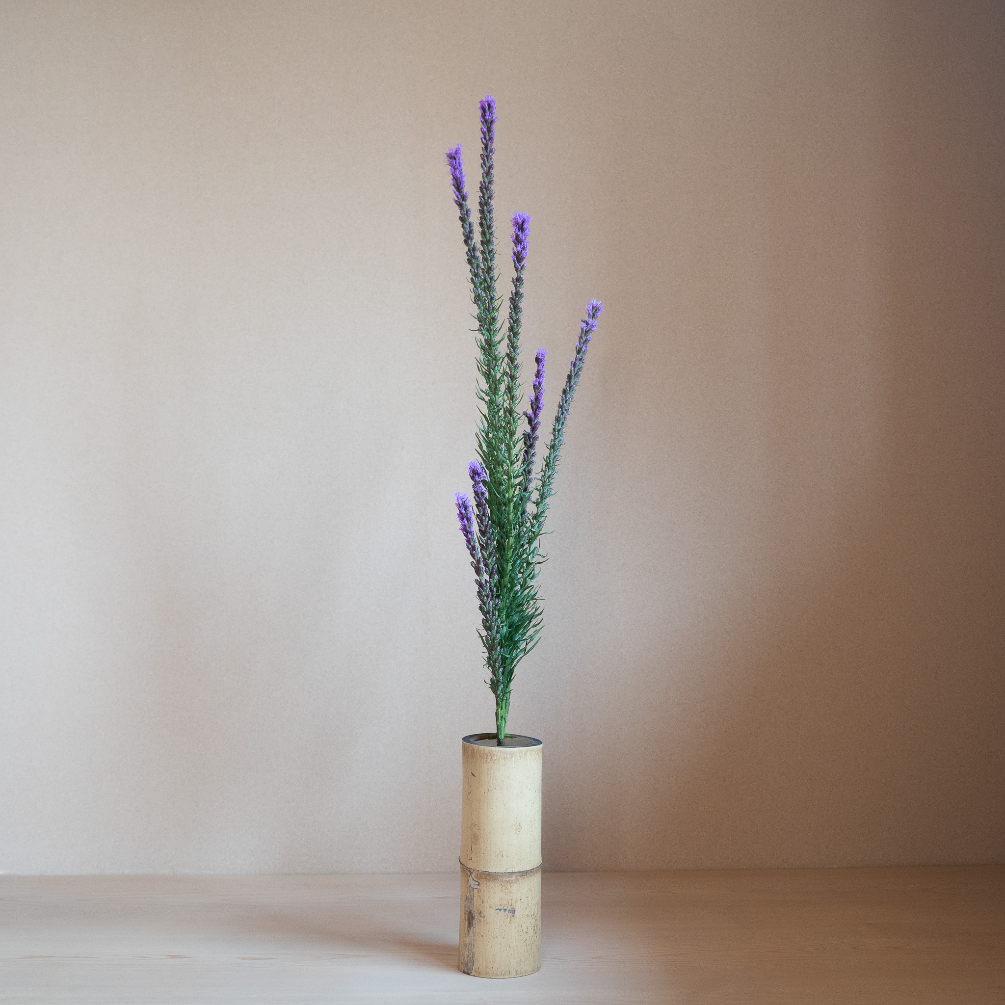 リアトリスの生花