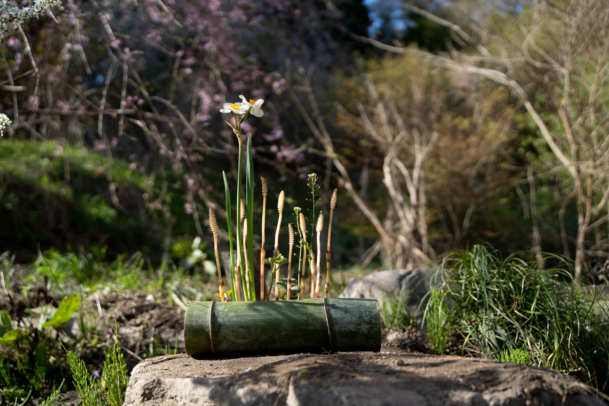 屋外でいけばな