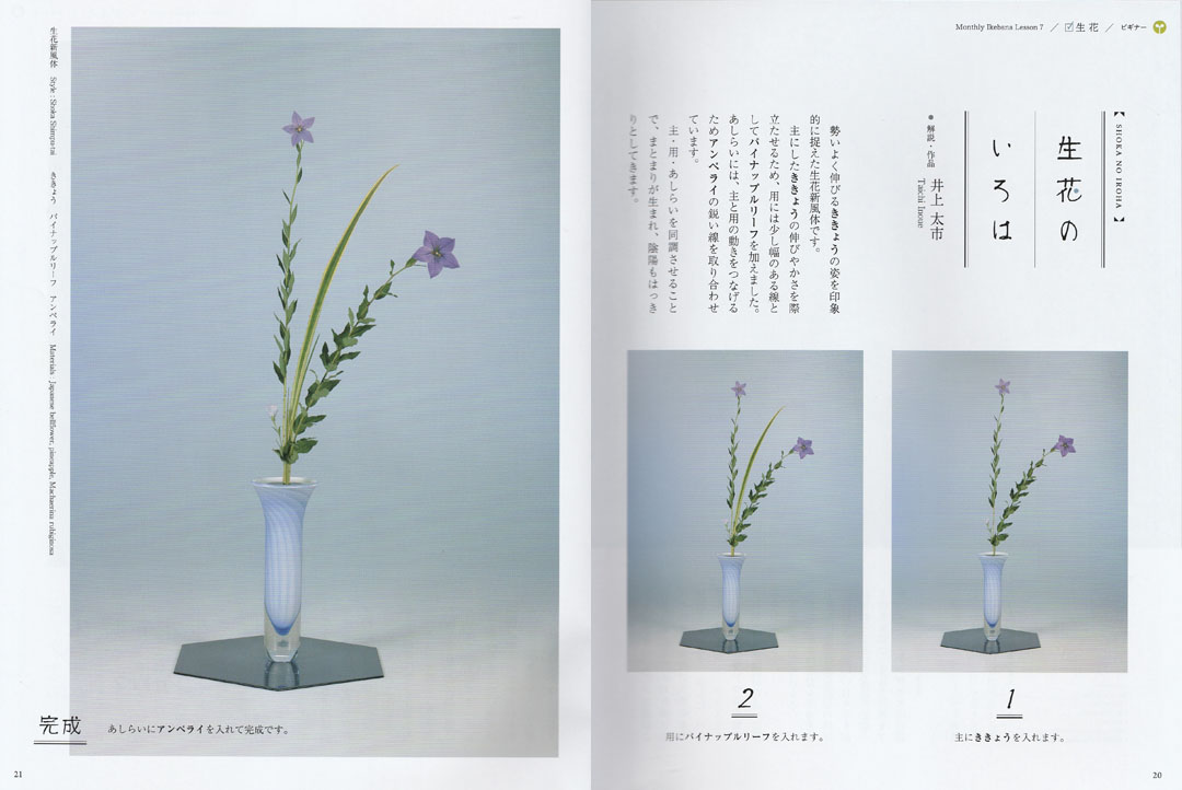 『ざ・いけのぼう』2019年7月号