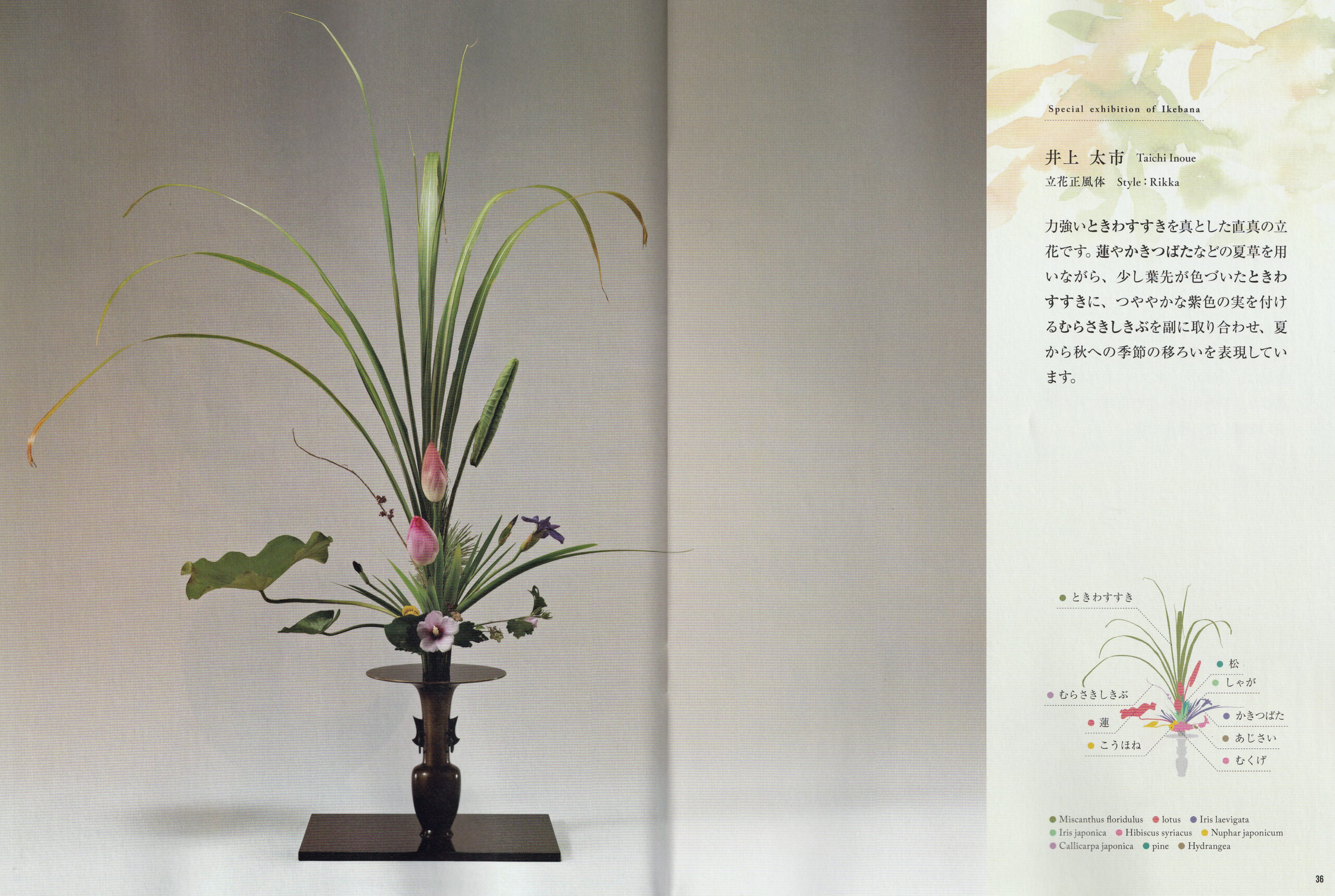 『ざ・いけのぼう』2024年9月号